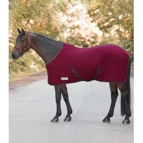 Fleesova deka economic s kriz. zapinanim 2