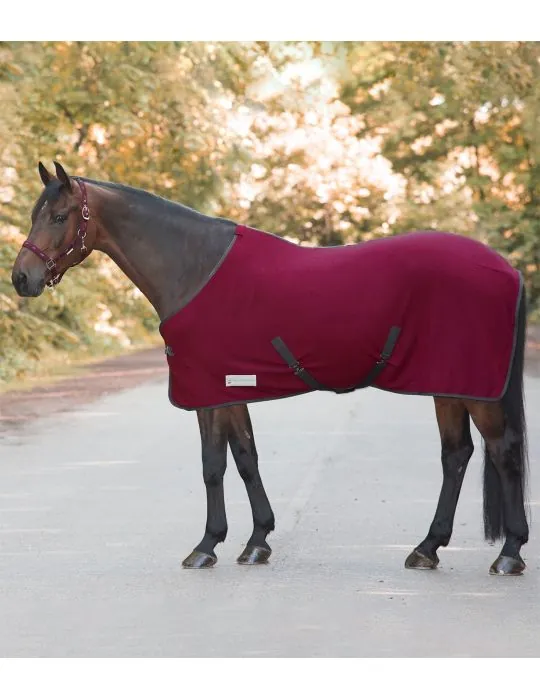 Fleesova deka economic s kriz. zapinanim