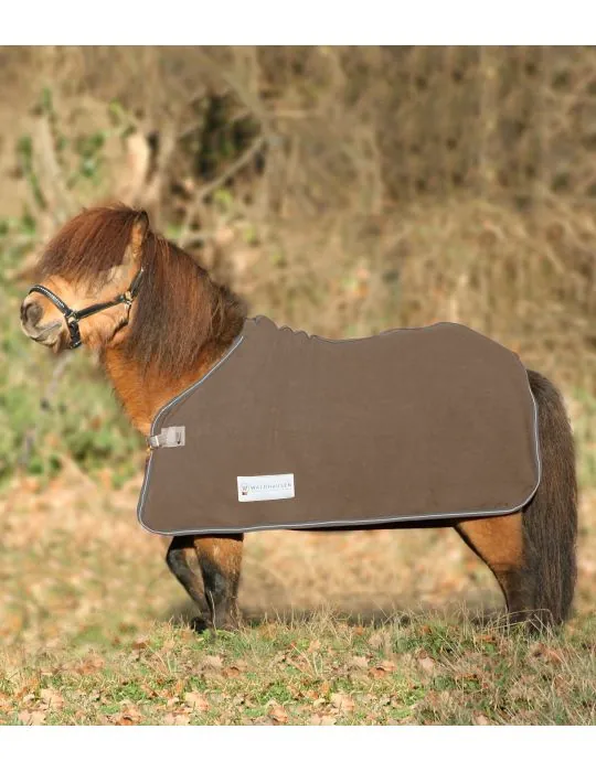 Fleesova deka economic s kriz. zapinanim