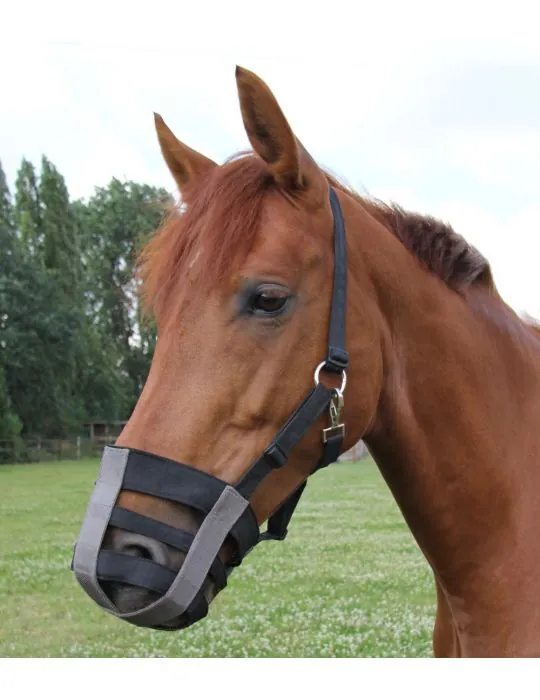 Náhubok pre kone muzzle