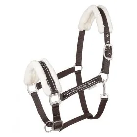 Ohlavka Halter Elegant 2