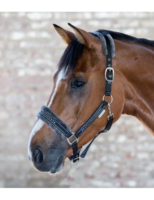 Ohlavka Halter Elegant