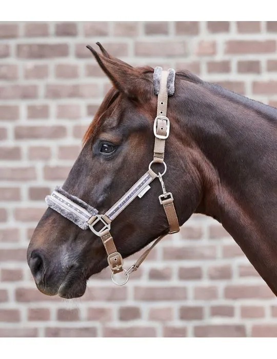 Ohlavka Halter Elegant