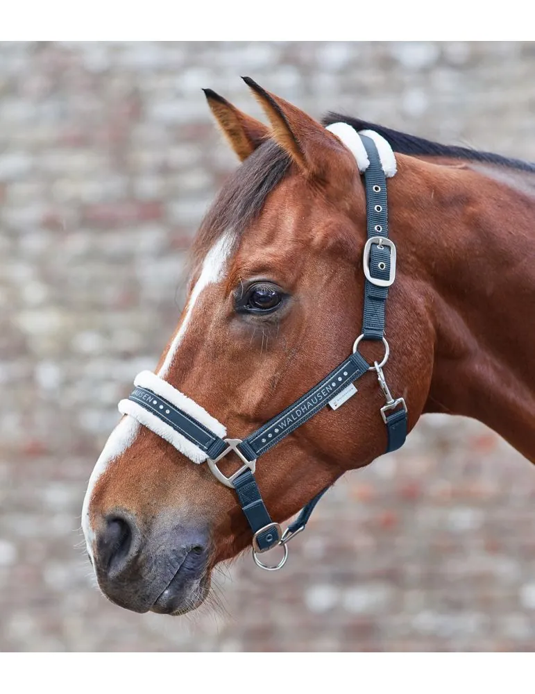 Ohlavka Halter Elegant