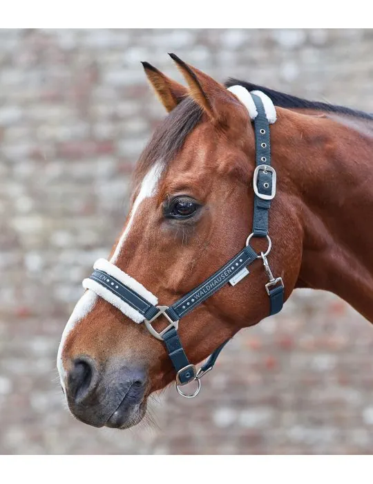 Ohlavka Halter Elegant