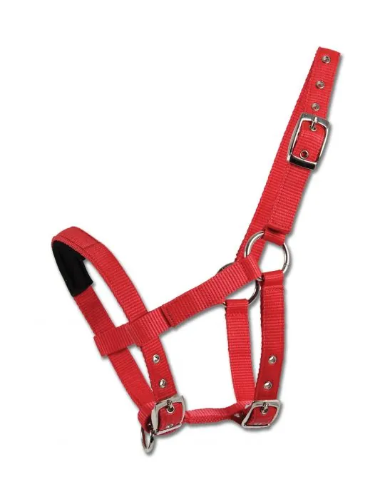 Ohlavka Shetty halter padded