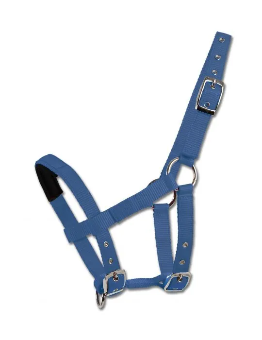 Ohlavka Shetty halter padded