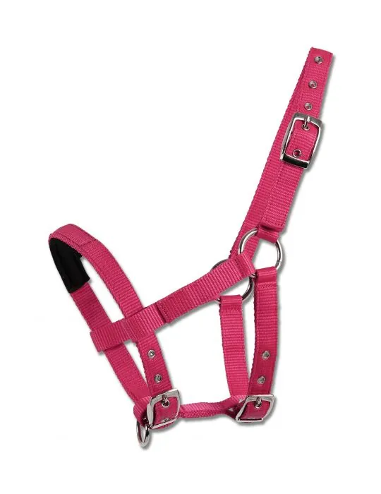 Ohlavka Shetty halter padded