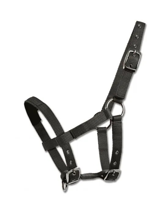 Ohlavka Shetty halter padded