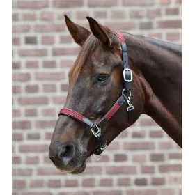 Ohlavka Star halter MIX 2