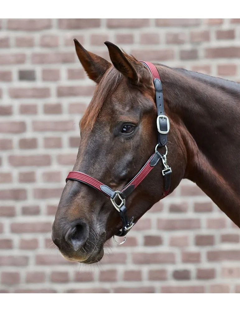 Ohlavka Star halter MIX