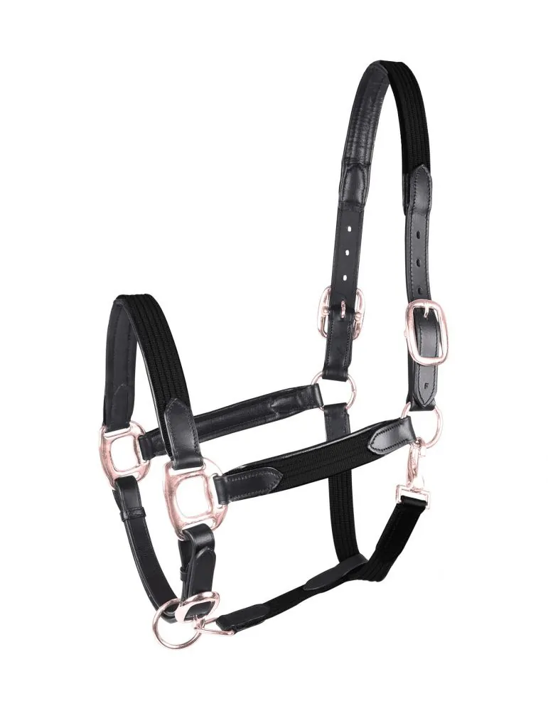 Ohlavka Star halter MIX