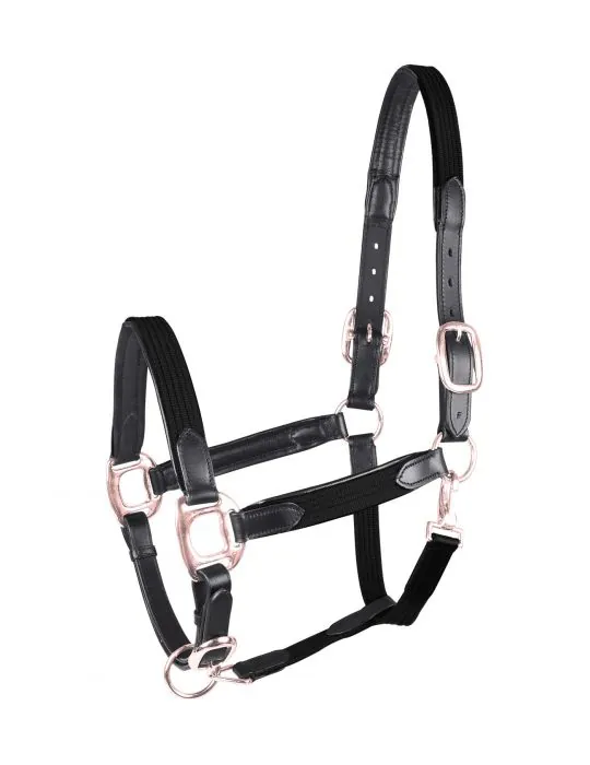Ohlavka Star halter MIX