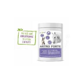 Dromy Artro Forte 900g