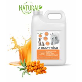 Dromy Rakytníková šťava 2000ml