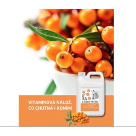 Dromy Rakytníková šťava 2000ml 2