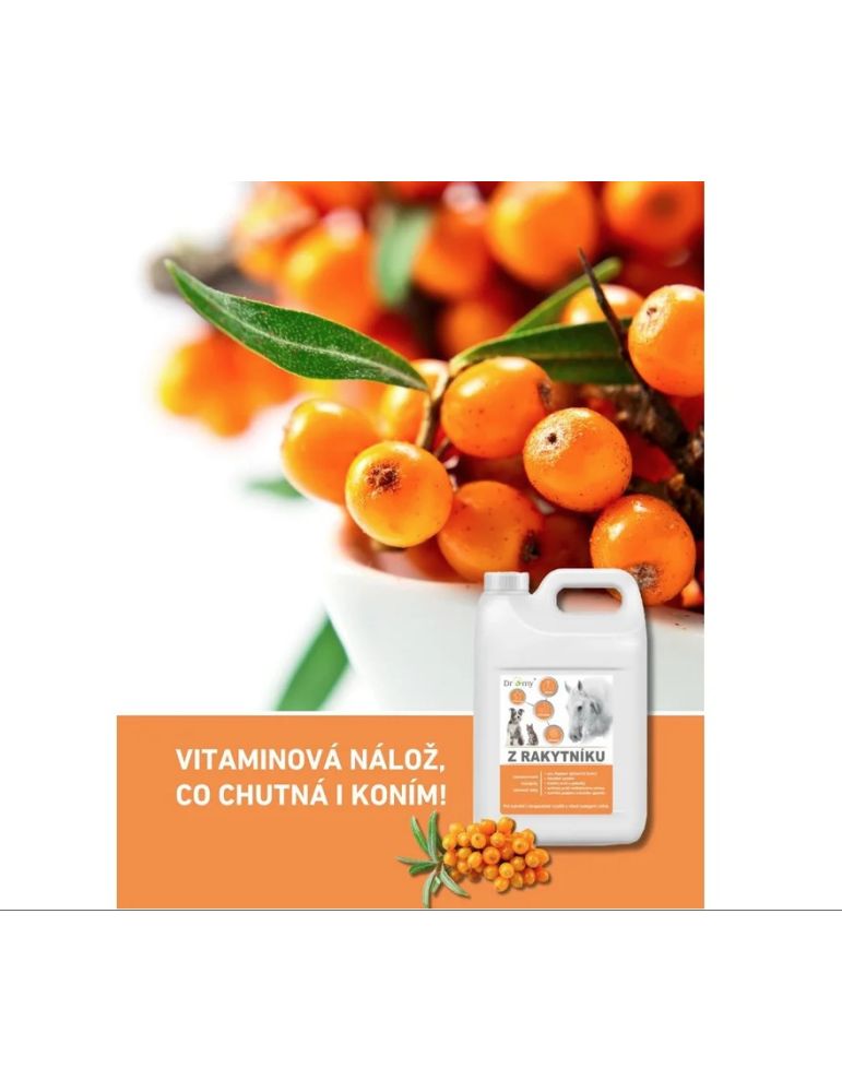 Dromy Rakytníková šťava 2000ml