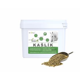 Dromy Kašlík 6300g
