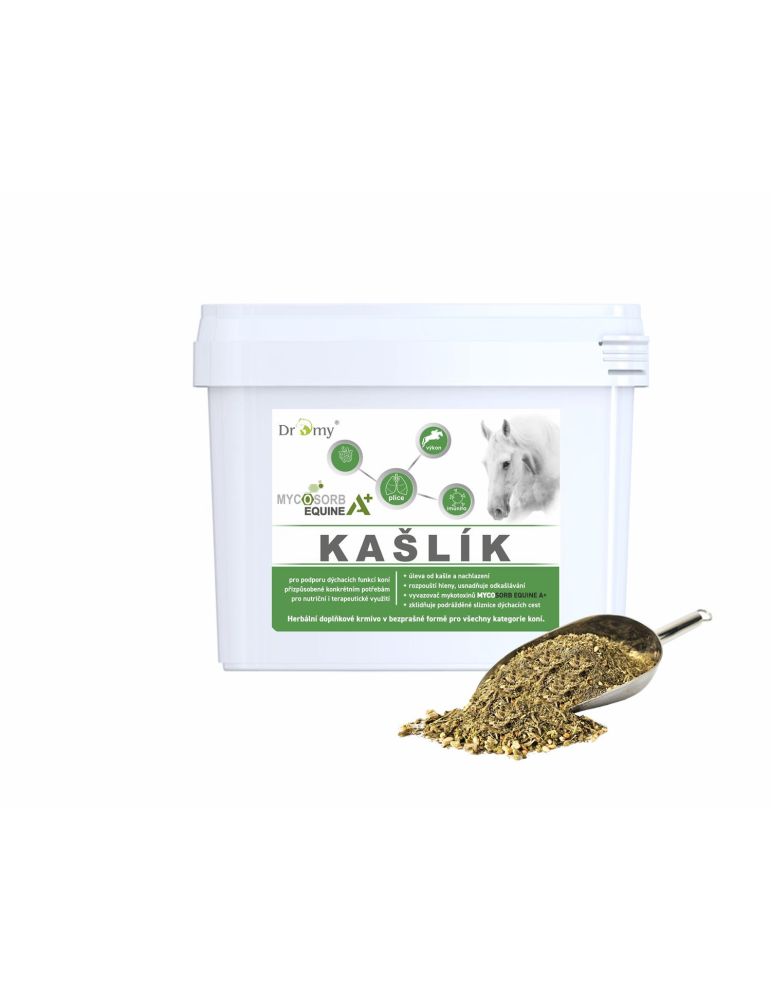 Dromy Kašlík 6300g