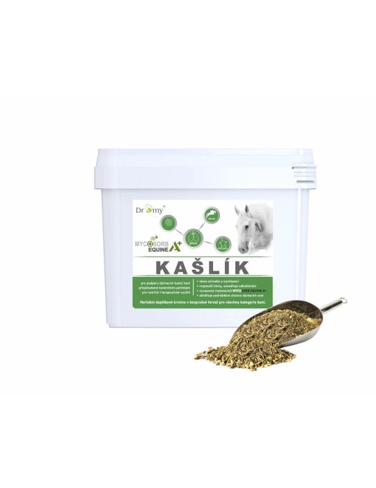 Dromy Kašlík 6300g