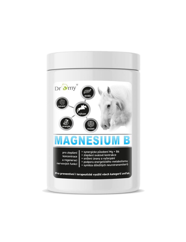 Dromy Magnesium B 1000g