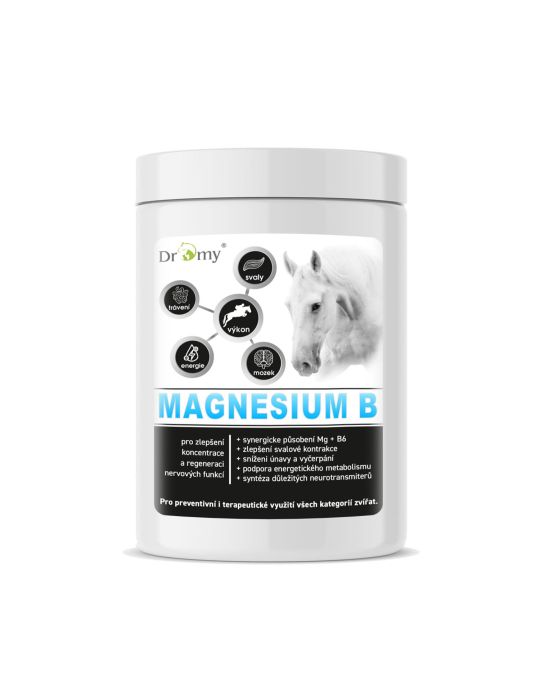 Dromy Magnesium B 1000g