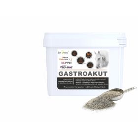 Dromy Gastroakut 2000g