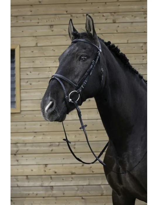 Uzda Muserolle Combine s otazami