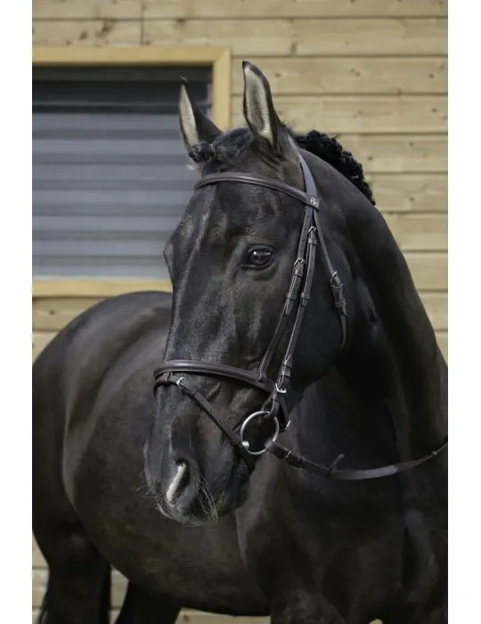 Uzda Muserolle Combine s otazami