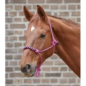 Povrazova ohlavka s vodítkom Waldhausen