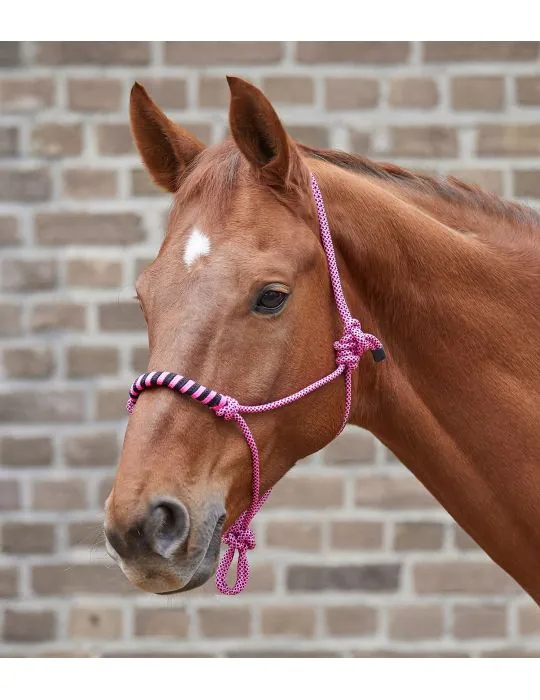 Povrazova ohlavka s vodítkom Waldhausen