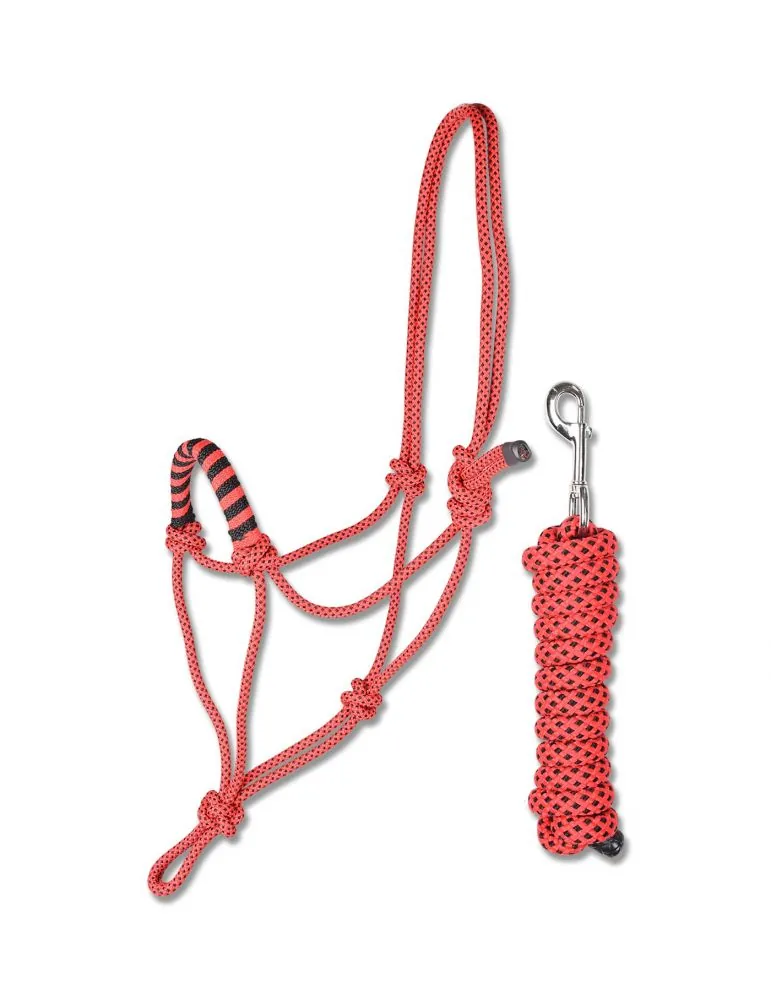 Povrazova ohlavka s vodítkom Waldhausen