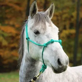 Povrazova ohlavka akupresna