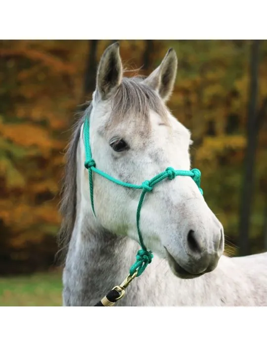 Povrazova ohlavka akupresna