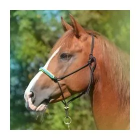 Povrazová ohlavka Siux 2