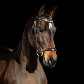 Horze Bergen Remont Bridle 2