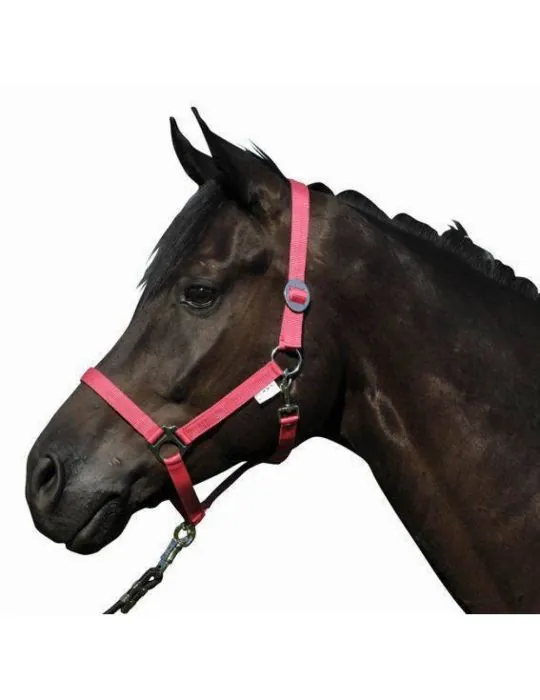 Ohlavka HKM Star Economy