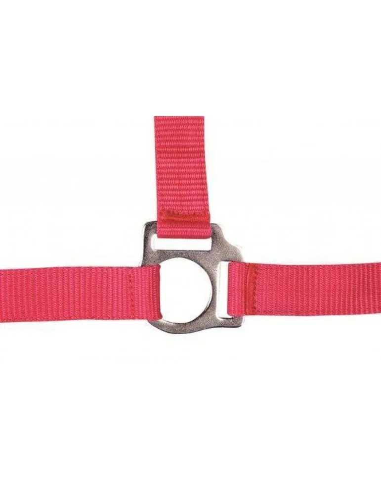 Ohlavka HKM Star Economy