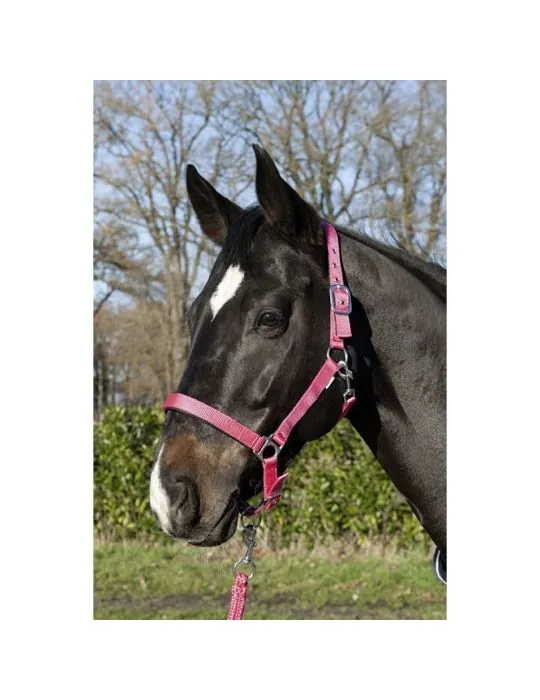 Ohlavka HKM Star Softice