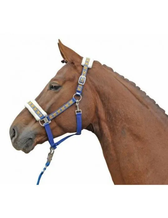 Ohlavka HKM podložená Vivien