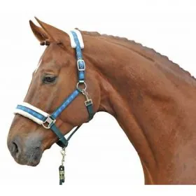 Ohlavka HKM podložená Vivien 2