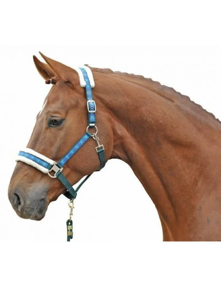 Ohlavka HKM podložená Vivien