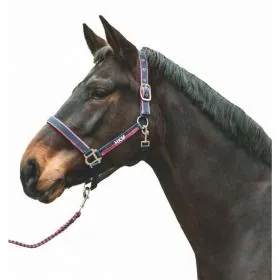 Ohlavka HKM s voditkom 2