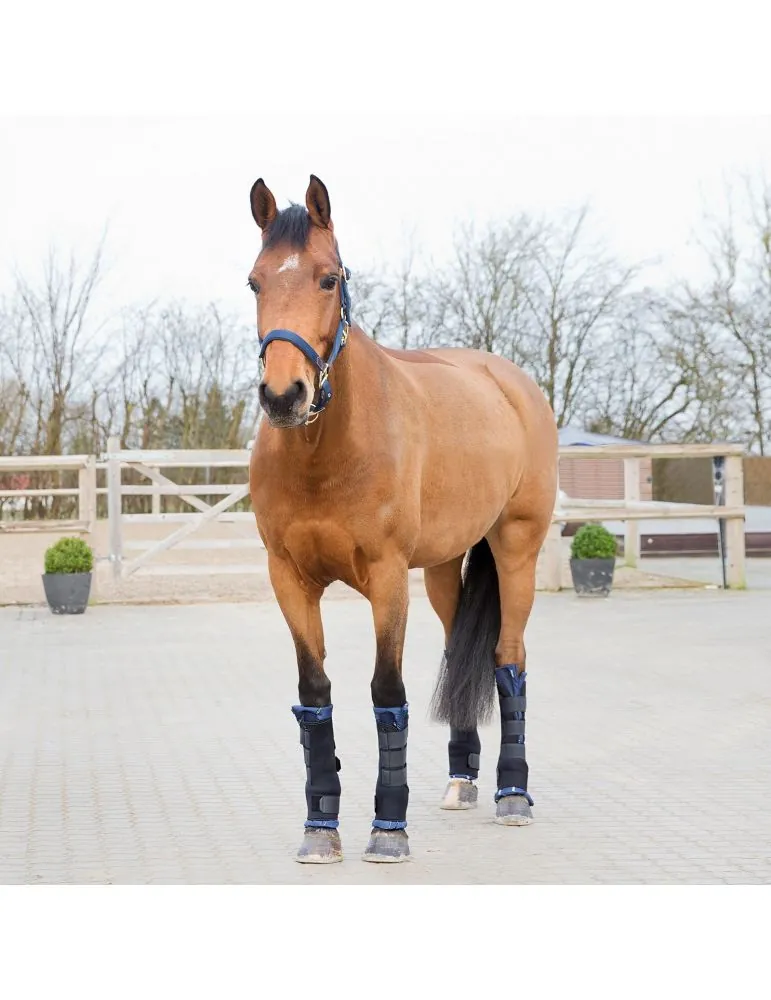 Bandaze stajnove Horze PRO