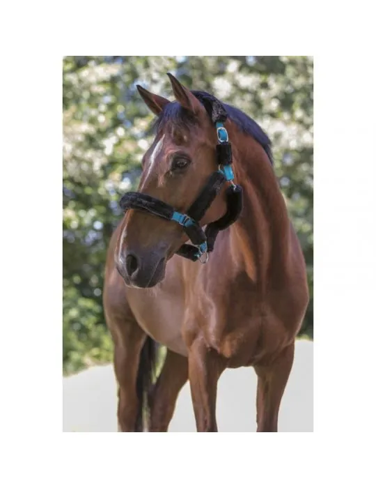 Ohlavka s nepravym baranom