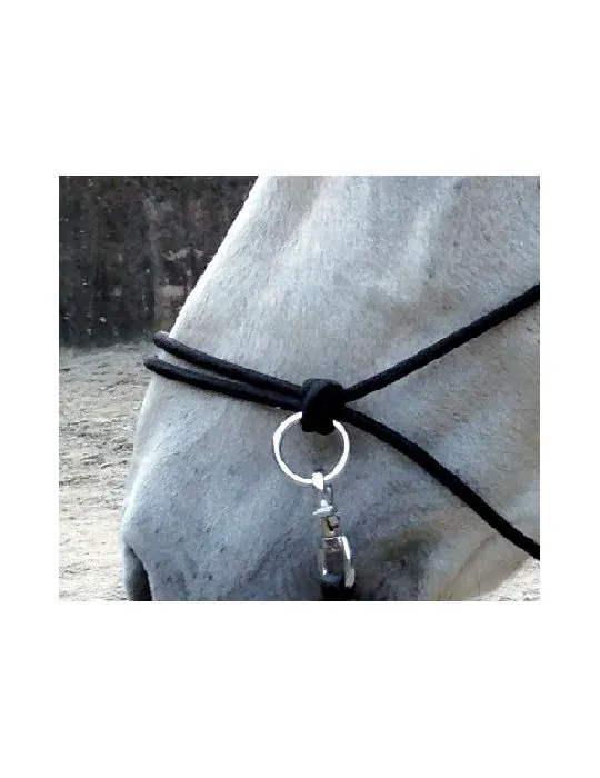 Povrazova bezzubadlova uzda+otaze Norton