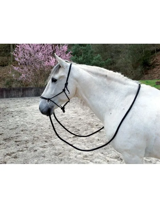 Povrazova bezzubadlova uzda+otaze Norton