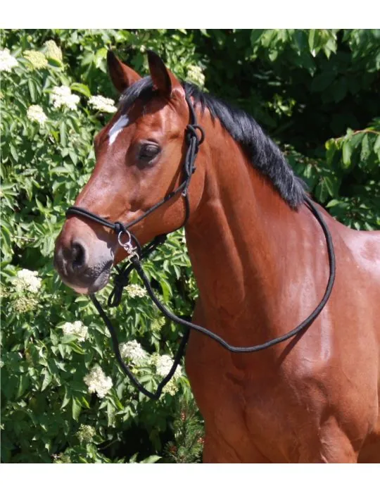 Povrazová bezzubadlovka+oťaže Waldhausen