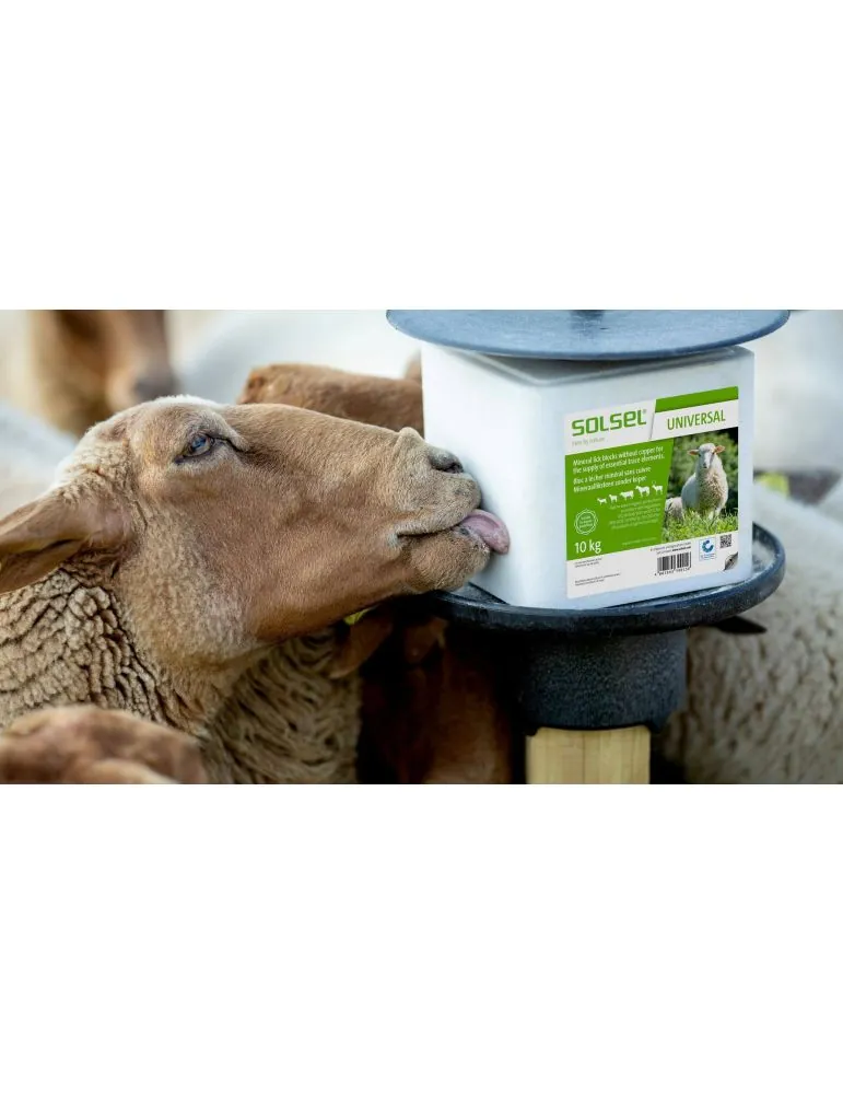 SOLSEL UNIVERSAL soľ pre ovce 10kg
