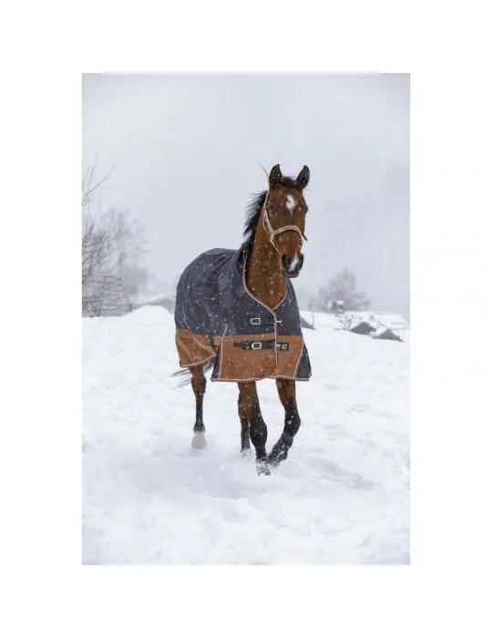 Deka výbehová Equitheme TYREX hight nechk 0g 600D